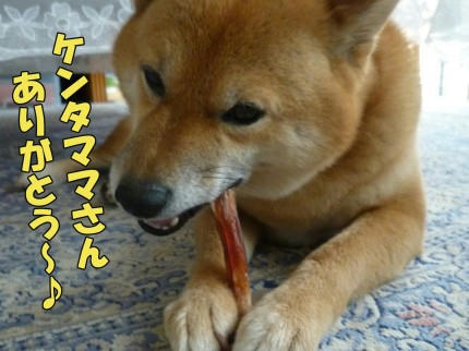 6558c132.jpeg