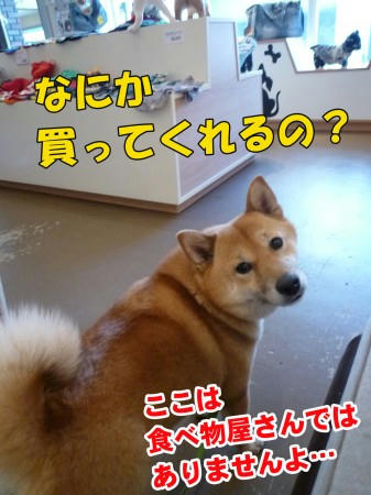 27b039ac.jpeg