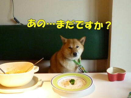 62488b50.jpeg