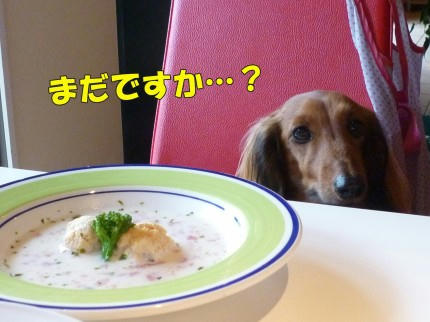 14972520.jpeg