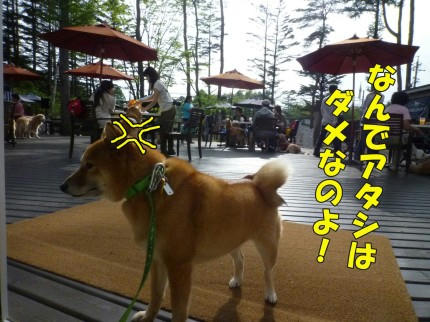 b940385c.jpeg