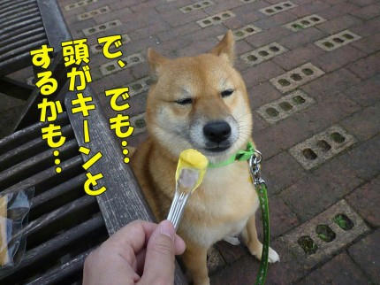 3ddbe7af.jpeg