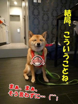 ff2f5658.jpeg