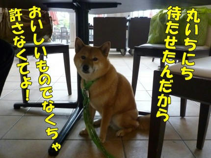 abc094f0.jpeg