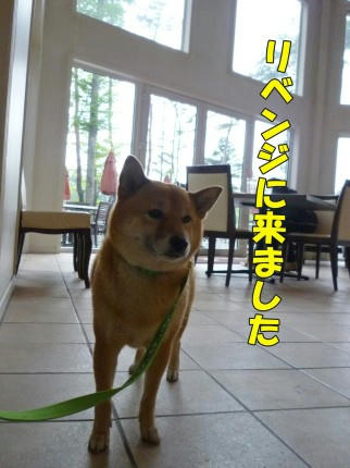 243724c9.jpeg