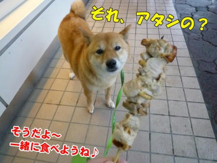 f86d4533.jpeg
