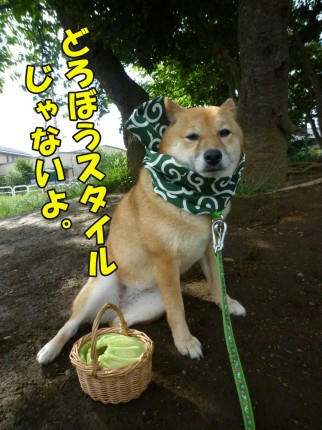 d004d947.jpeg