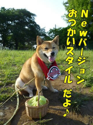46e504b6.jpeg