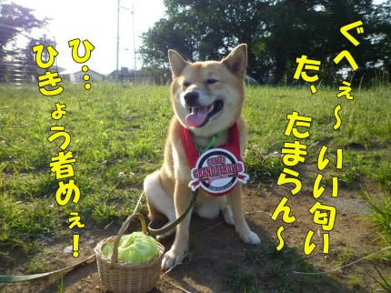 47691c39.jpeg