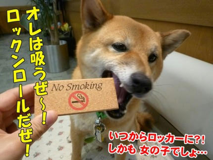 fda82c9a.jpeg