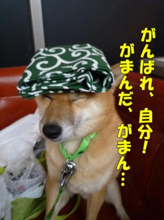 0779be0b.jpeg