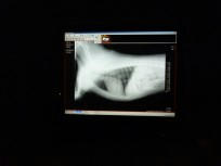 web-P1090765.JPG