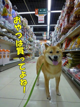 dd404fe4.jpeg