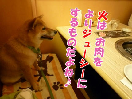 e9b48a47.jpeg