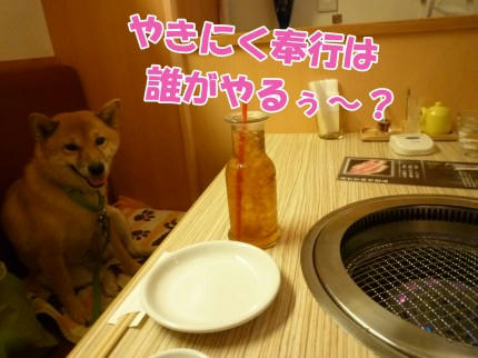 79f55753.jpeg