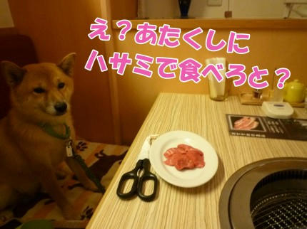 695e93c6.jpeg