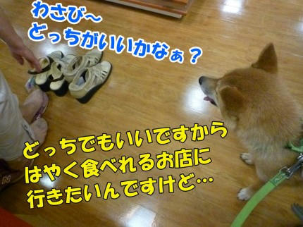 6d558158.jpeg