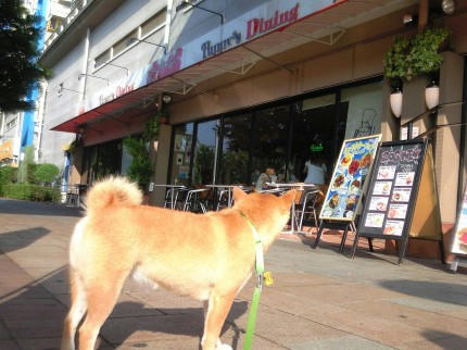 お台場 Puppy S Dining パピーズダイニング わさび音 Wasabi Ne