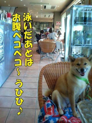 f0a6bbd1.jpeg