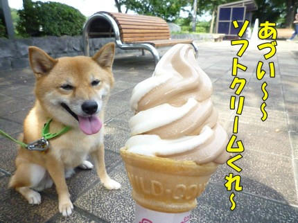 45c6a4ee.jpeg