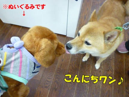 c807433c.jpeg