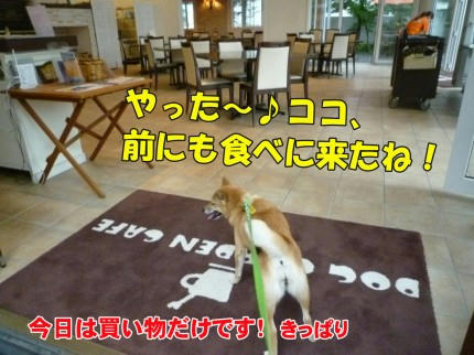 6a731839.jpeg