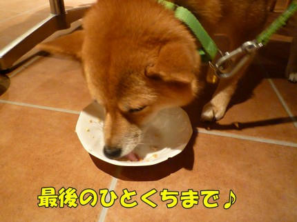e0719062.jpeg