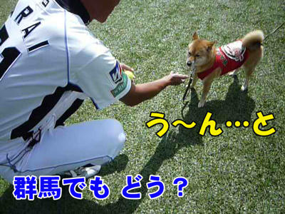 web-P1000177.jpg