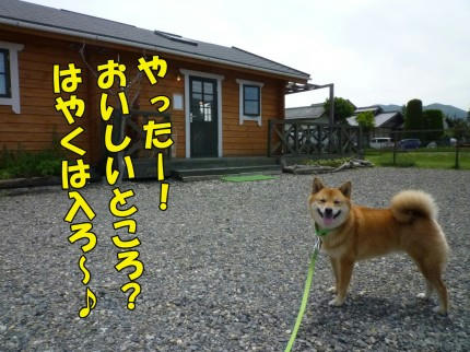 f312475d.jpeg