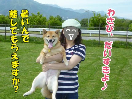 4832013a.jpeg