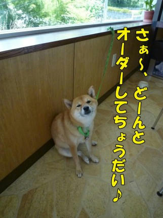 cd45332a.jpeg