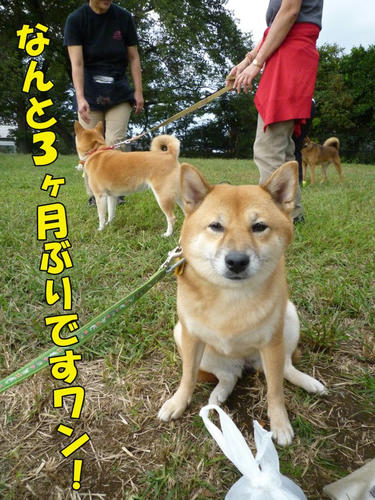 87a94142.jpeg