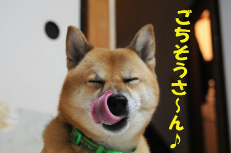 23a3264e.jpeg
