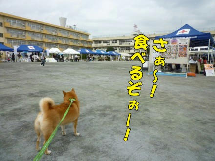 458a95a8.jpeg