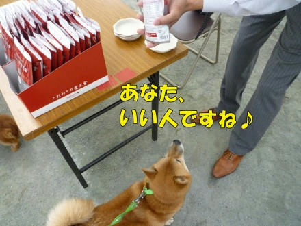 5a5277f2.jpeg