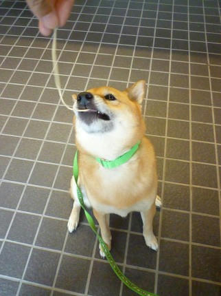 8b374272.jpeg