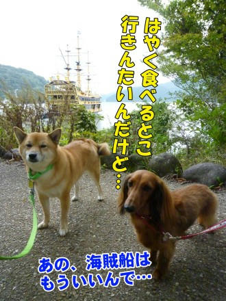 5d938eb0.jpeg