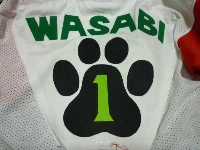 web-P1010244.JPG