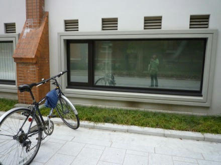 web-P1010455.JPG