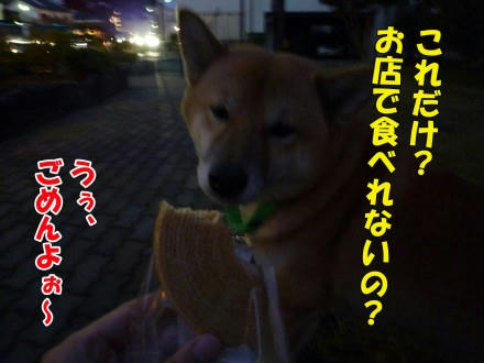 bd22b58a.jpeg