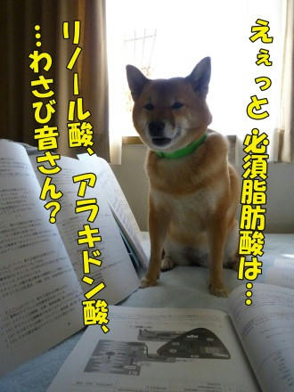4014a6f7.jpeg