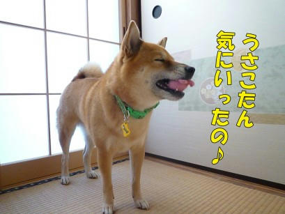 619dd1fe.jpeg
