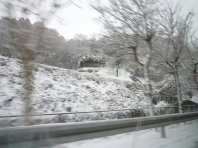 web-P1020425.JPG