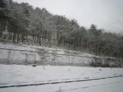 web-P1020428.JPG