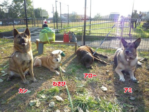 83d7b730.jpeg
