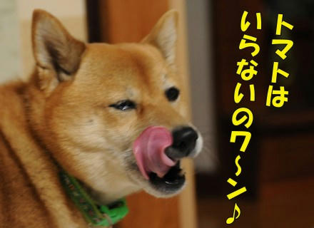 bc416a05.jpeg