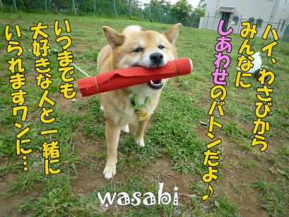 d1d088b3.jpeg