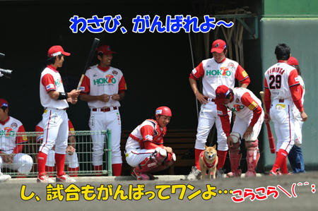 web-DSC_5517.jpg