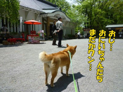 82f415a6.jpeg