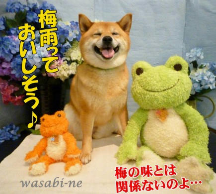 154023bd.jpeg